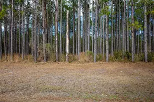 Tbd 140th Terrace, Lake City, FL 32024 - Photo 31