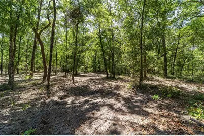 8489 NE 6th Lane, High Springs, FL 32643 - Photo 43