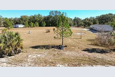 165 SE 122nd Avenue, Old Town, FL 32680 - Photo 9