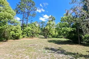 23086 NW 189th Ave, High Springs, FL 32643 - Photo 35