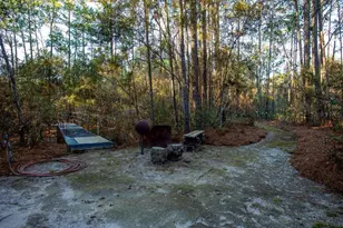 16064 SW County Road 235, Brooker, FL 32622 - Photo 29