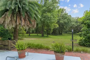 12832 SW 14 Ave, Newberry, FL 32669 - Photo 37