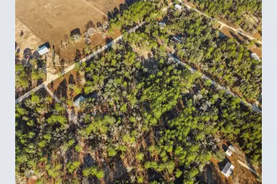 0 NE 121st Avenue, Williston, FL 32696 - Photo 11