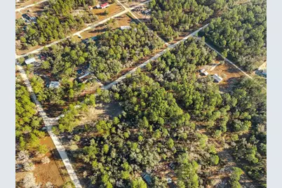 0 NE 121st Avenue, Williston, FL 32696 - Photo 13