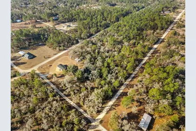 0 NE 121st Avenue, Williston, FL 32696 - Photo 9