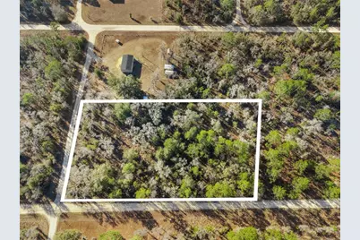 0 NE 121st Avenue, Williston, FL 32696 - Photo 1