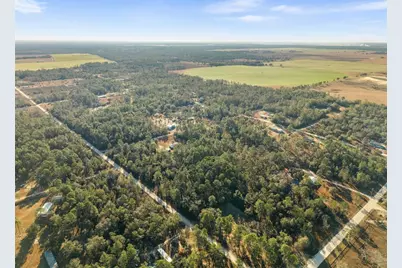 0 NE 121st Avenue, Williston, FL 32696 - Photo 15