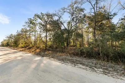 0 NE 121st Avenue, Williston, FL 32696 - Photo 5