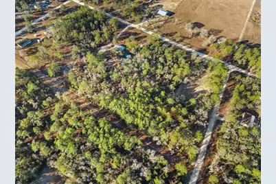 0 NE 121st Avenue, Williston, FL 32696 - Photo 9