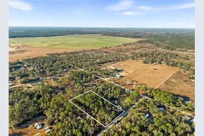 0 NE 121st Avenue, Williston, FL 32696 - Photo 1