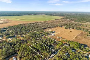 0 NE 121st Ave, Williston, FL 32696 - Photo 1
