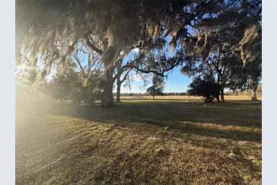 20638 SW 38th Avenue, Newberry, FL 32669 - Photo 5