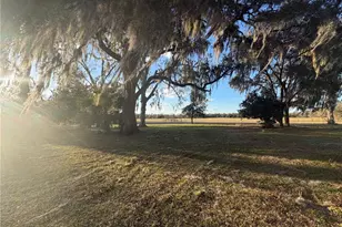 20638 SW 38th Ave, Newberry, FL 32669 - Photo 5