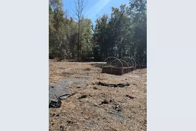 14212 NW 188th Street, Alachua, FL 32615 - Photo 7