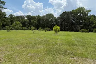 13106 NW 112th Ave, Alachua, FL 32615 - Photo 3