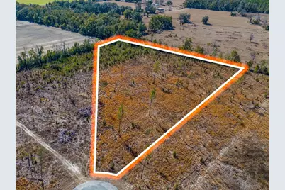 Tbd 211th Court, Live Oak, FL 32060 - Photo 1