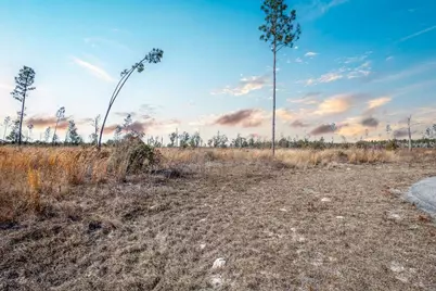 Tbd 211th Court, Live Oak, FL 32060 - Photo 13