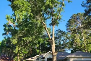 1435 NW 100th Terrace, Gainesville, FL 32606 - Photo 5