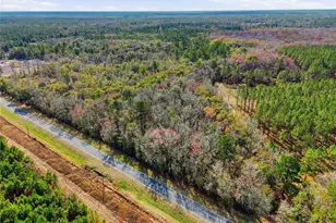 20994 SW County Rd 18, Brooker, FL 32622 - Photo 5