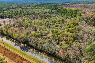 20994 SW County Rd 18, Brooker, FL 32622 - Photo 7