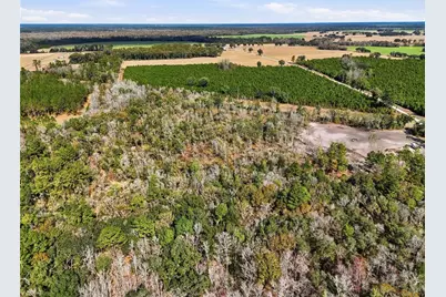 20994 SW County Road 18 #Lot 1, Brooker, FL 32622 - Photo 13