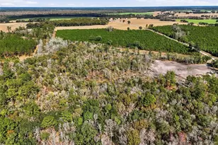 20994 SW County Rd 18, Brooker, FL 32622 - Photo 13