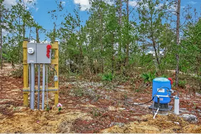 419 Lily Trail, Interlachen, FL 32148 - Photo 43