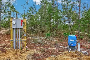 419 Lily Trail, Interlachen, FL 32148 - Photo 43