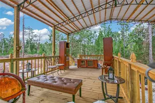 419 Lily Trail, Interlachen, FL 32148 - Photo 45