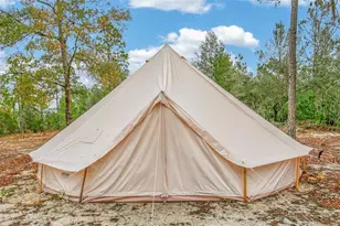 419 Lily Trail, Interlachen, FL 32148 - Photo 63