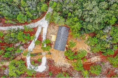 419 Lily Trail, Interlachen, FL 32148 - Photo 31