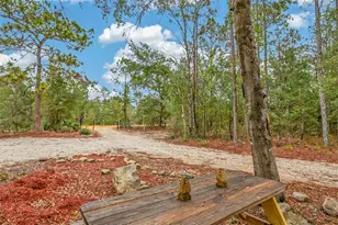 419 Lily Trail, Interlachen, FL 32148 - Photo 61