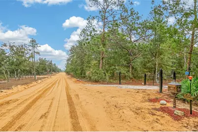 419 Lily Trail, Interlachen, FL 32148 - Photo 55