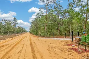 419 Lily Trail, Interlachen, FL 32148 - Photo 55