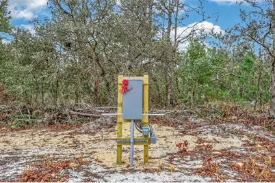 419 Lily Trail, Interlachen, FL 32148 - Photo 23