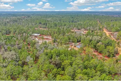 419 Lily Trail, Interlachen, FL 32148 - Photo 69