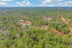 419 Lily Trail, Interlachen, FL 32148 - Photo 69