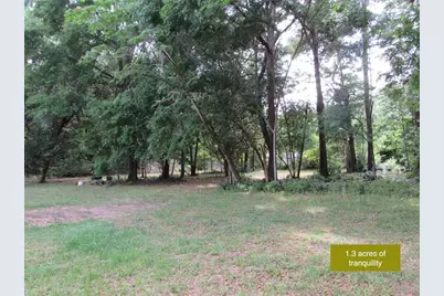 20526 N State Road 121, Alachua, FL 32615 - Photo 7
