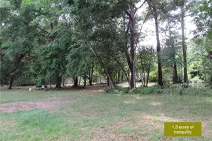 20526 N State Rd 121, Alachua, FL 32615 - Photo 7