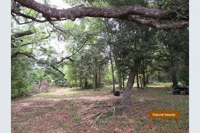 20526 N State Road 121, Alachua, FL 32615 - Photo 9