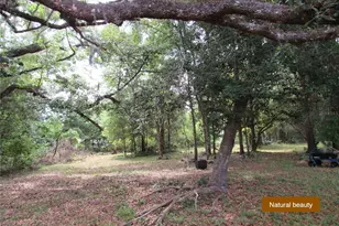 20526 N State Rd 121, Alachua, FL 32615 - Photo 9