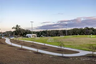 13651 NW 150th Circle, Alachua, FL 32615 - Photo 23