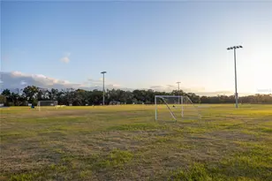 13651 NW 150th Circle, Alachua, FL 32615 - Photo 29