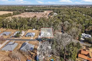 9140 Dorie Dr, Fanning Springs, FL 32693 - Photo 41