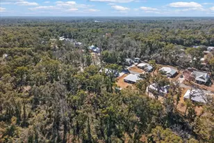 9140 Dorie Dr, Fanning Springs, FL 32693 - Photo 49