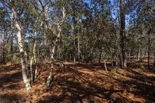 5793 SW 121st Terrace, Ocala, FL 34481 - Photo 43