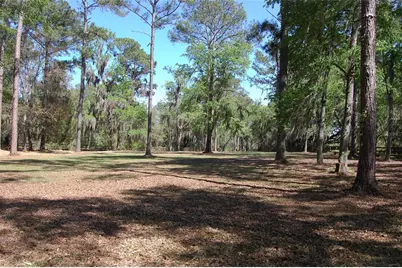 27471 NW 173rd Terrace, Alachua, FL 32615 - Photo 47