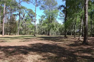 27471 NW 173rd Terrace, Alachua, FL 32615 - Photo 47