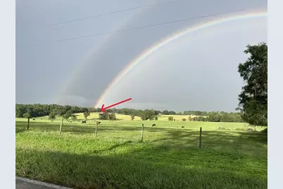 27471 NW 173rd Terrace, Alachua, FL 32615 - Photo 41