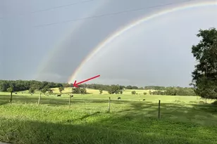 27471 NW 173rd Terrace, Alachua, FL 32615 - Photo 41